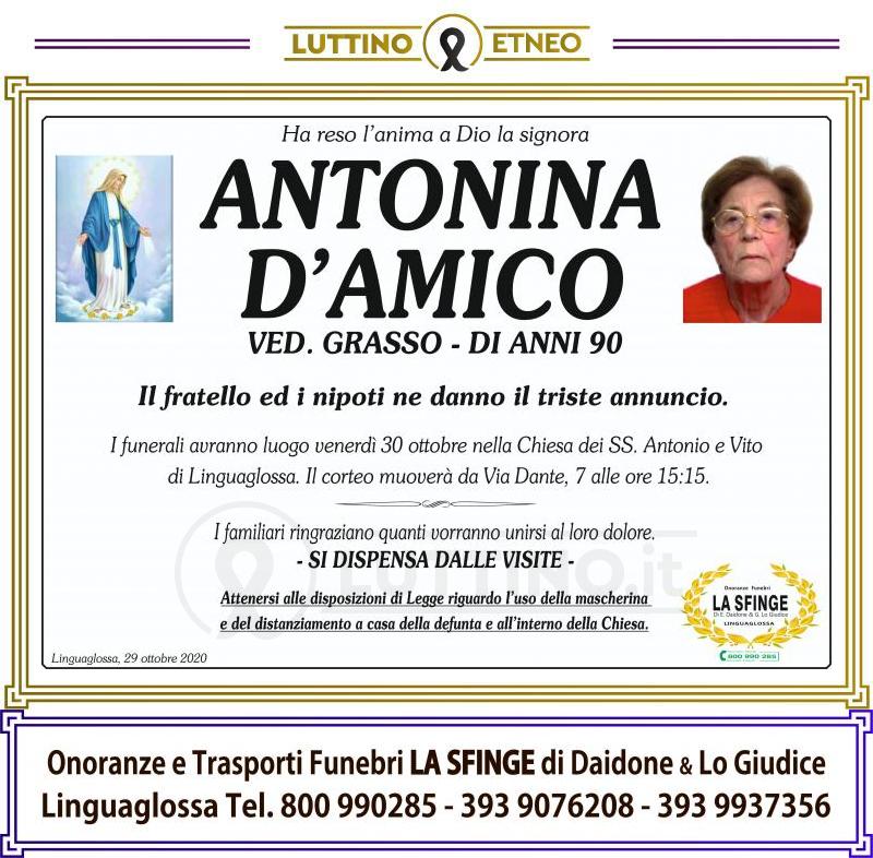 Antonina  D'Amico 